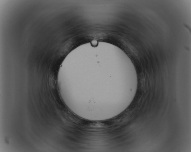 X0000093360316200710111313