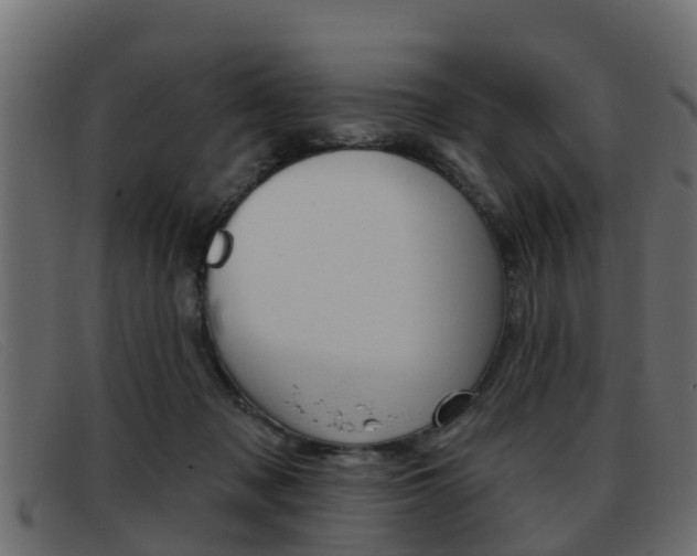 X0000093360317200710111313