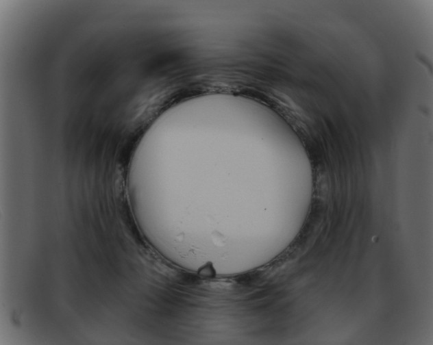 X0000093360318200710111313