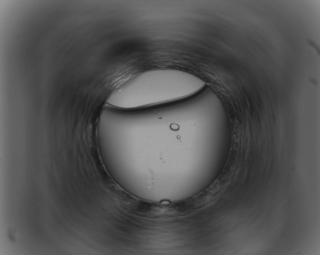 X0000093360319200710111313