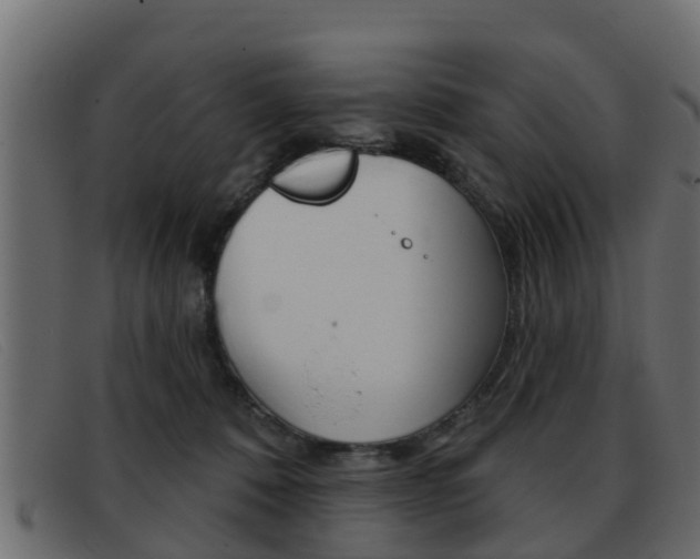 X0000093360320200710111313