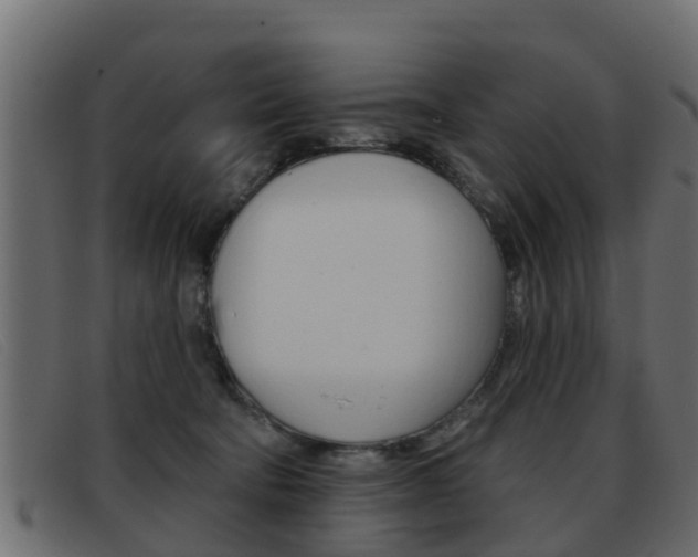 X0000093360322200710111313