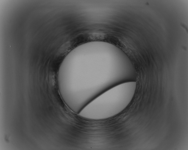 X0000093360323200710111313