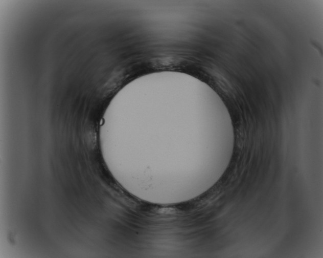 X0000093360324200710111313