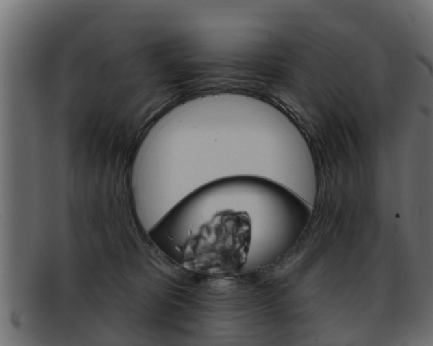 X0000093360325200710111313
