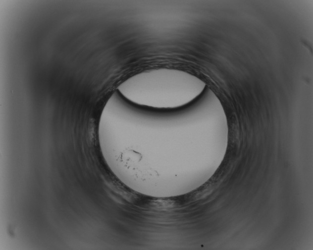 X0000093360328200710111313