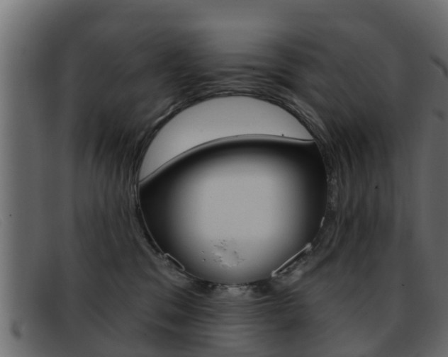 X0000093360329200710111313