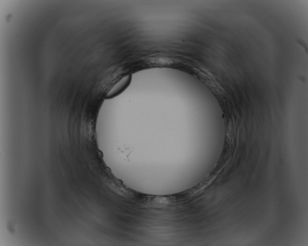 X0000093360330200710111313