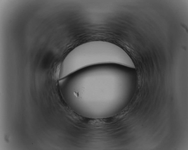 X0000093360331200710111313