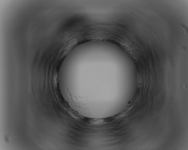 X0000093360334200710111313