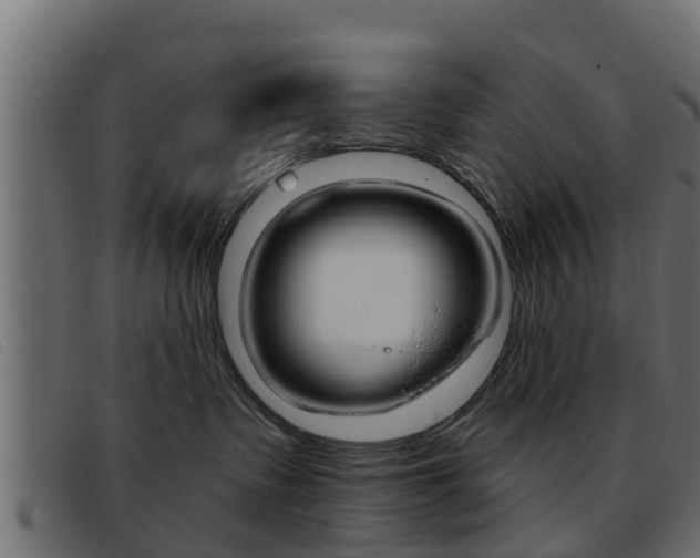 X0000093360335200710111313