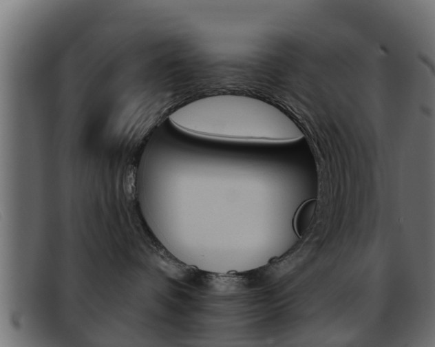 X0000093360336200710111313