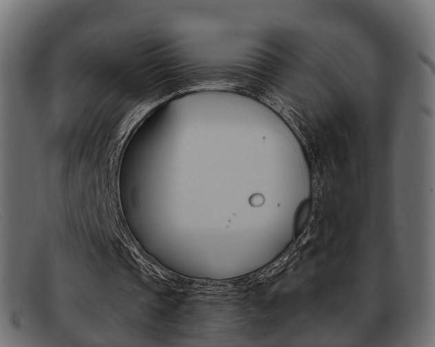 X0000093360337200710111312