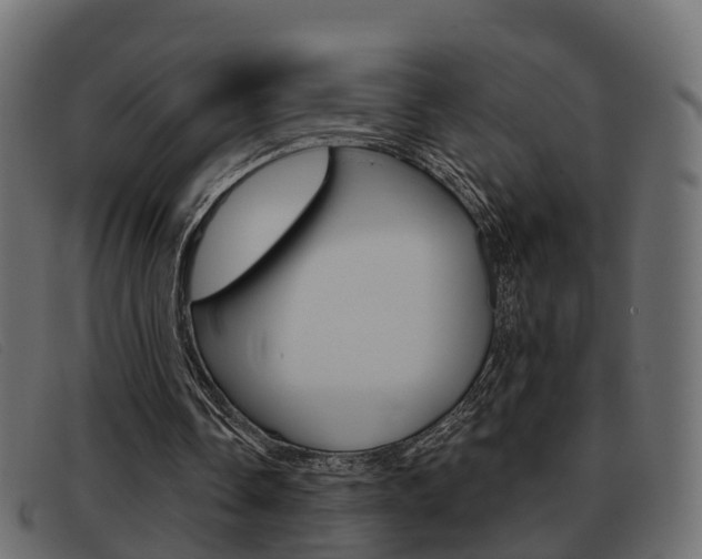 X0000093360338200710111312