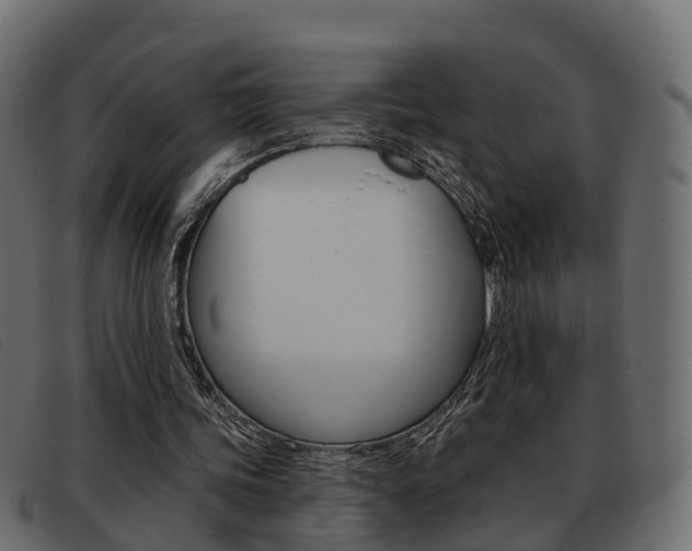 X0000093360339200710111312