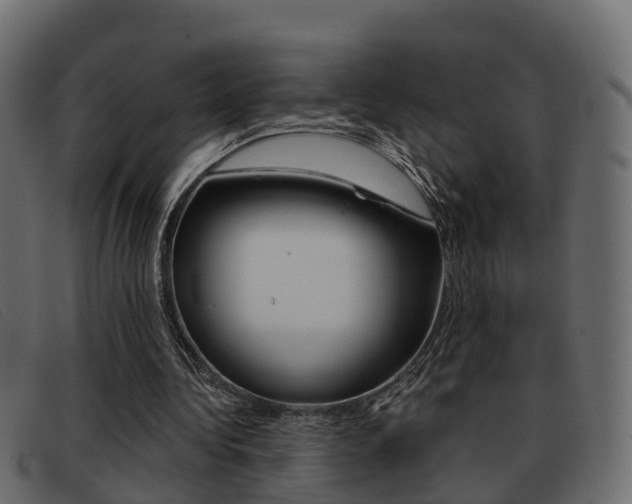 X0000093360340200710111312