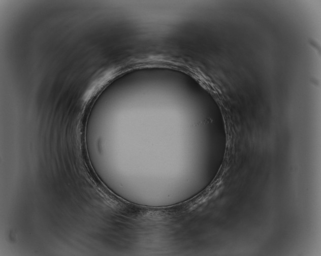 X0000093360341200710111312