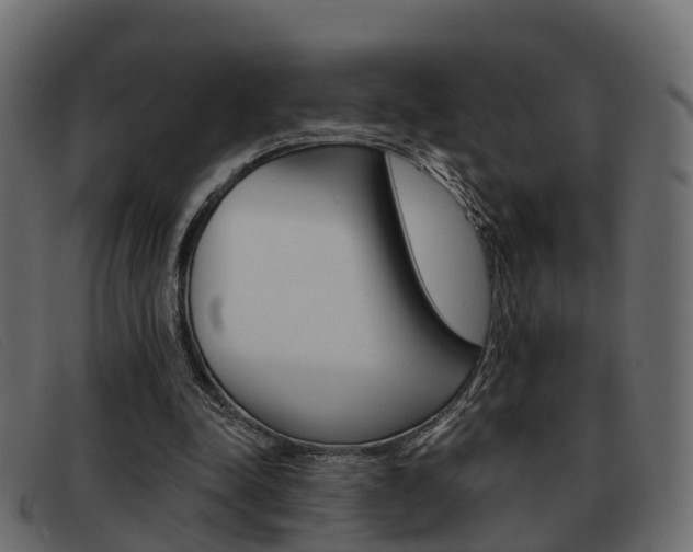 X0000093360342200710111312