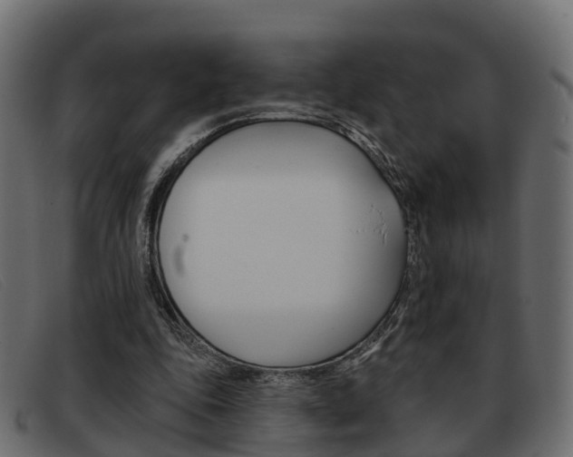 X0000093360343200710111312