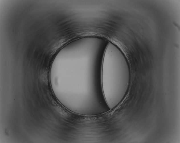 X0000093360345200710111312