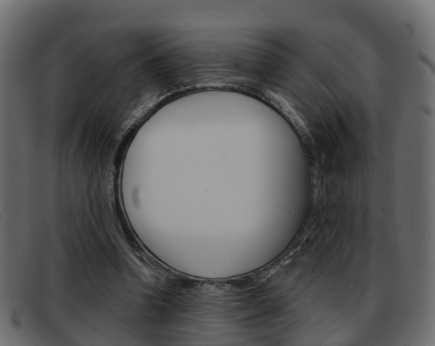 X0000093360346200710111312