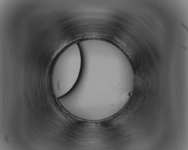 X0000093360347200710111312