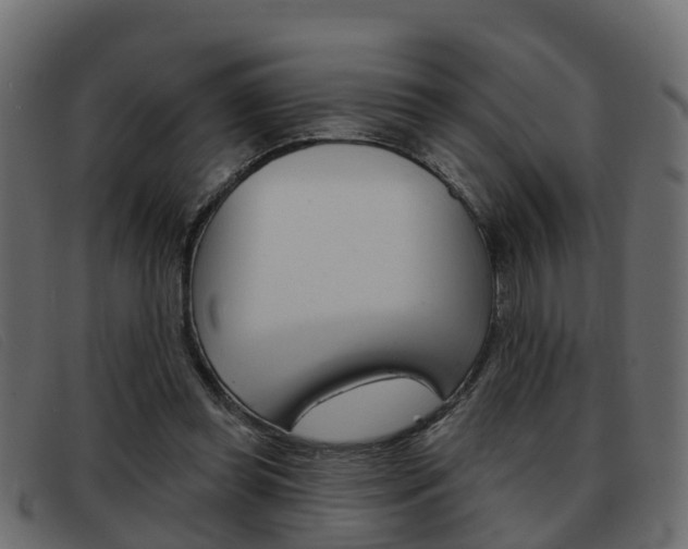 X0000093360349200710111312