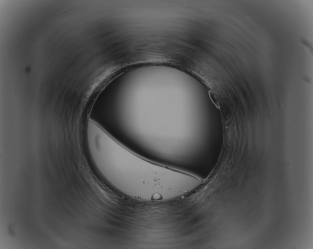 X0000093360350200710111312