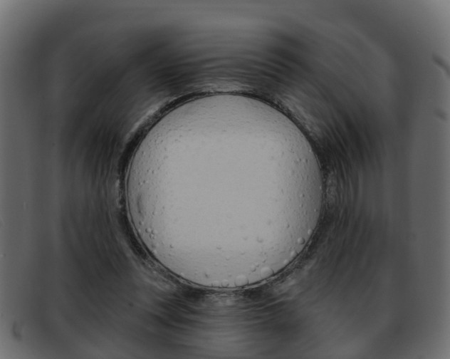 X0000093360351200710111312