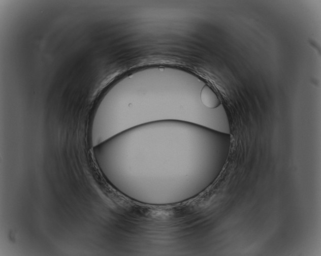 X0000093360352200710111312