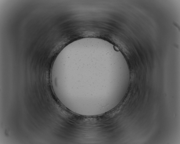 X0000093360353200710111312