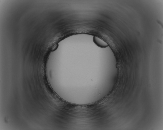 X0000093360354200710111312