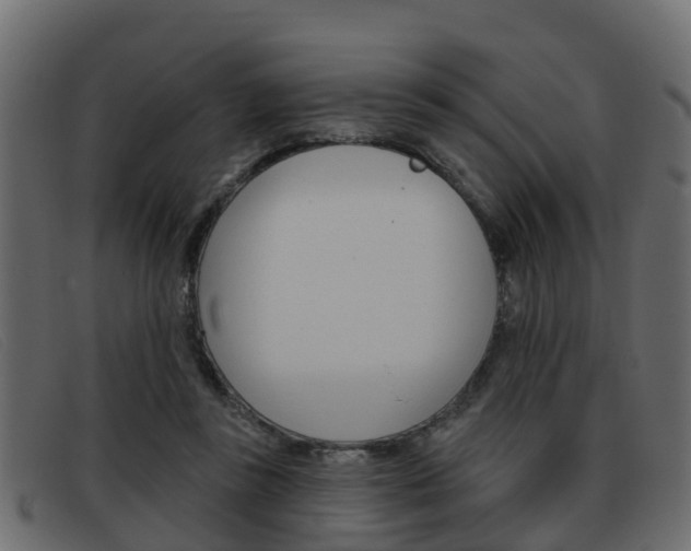 X0000093360355200710111312