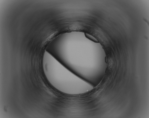 X0000093360356200710111312