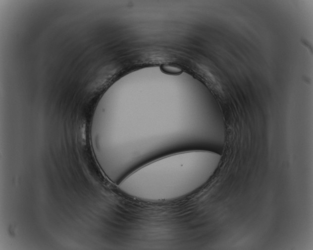 X0000093360358200710111313