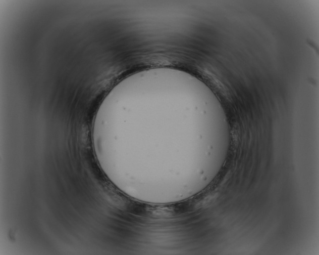 X0000093360359200710111313