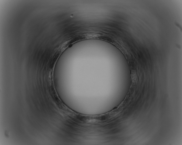 X0000093360360200710111313