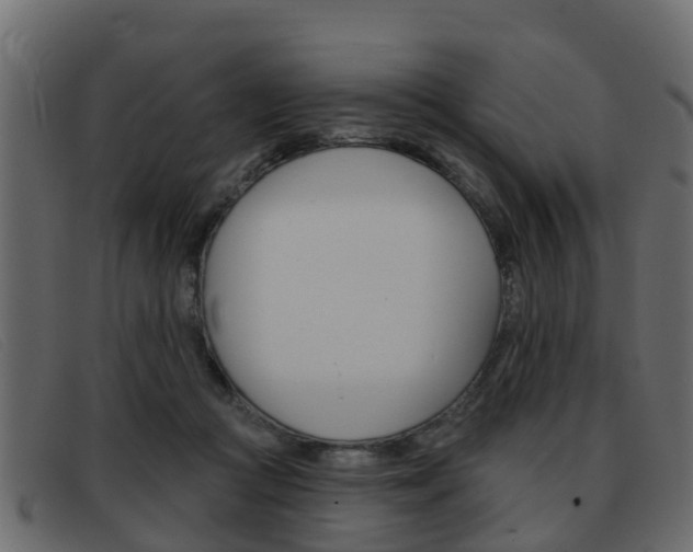X0000093360361200710111313