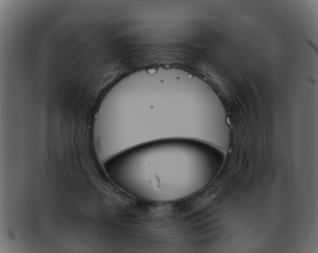 X0000093360362200710111313