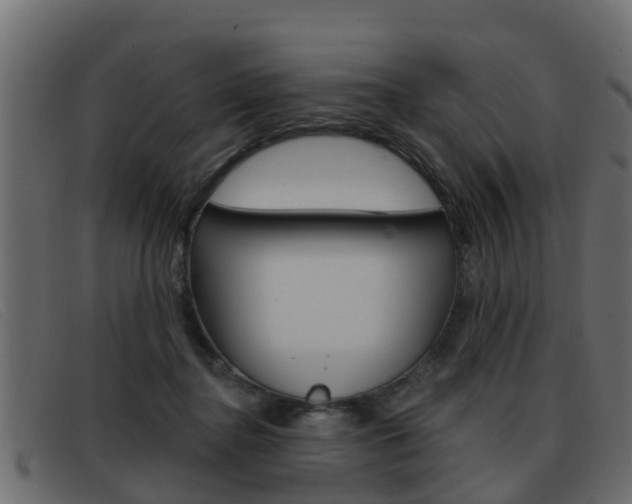 X0000093360364200710111313
