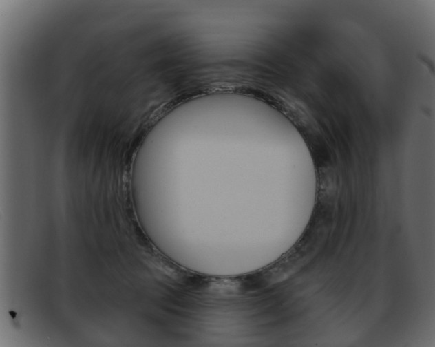 X0000093360369200710111313