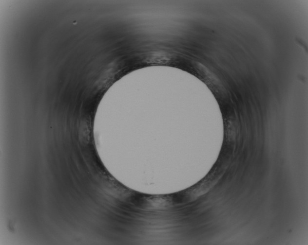 X0000093360370200710111313