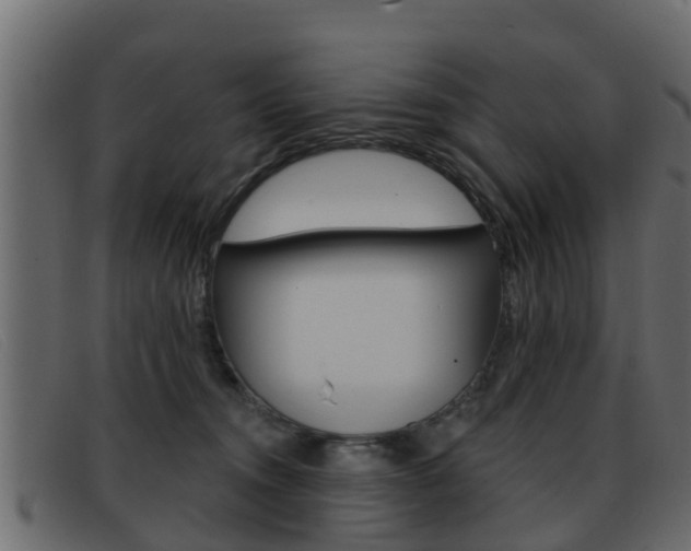 X0000093360372200710111313