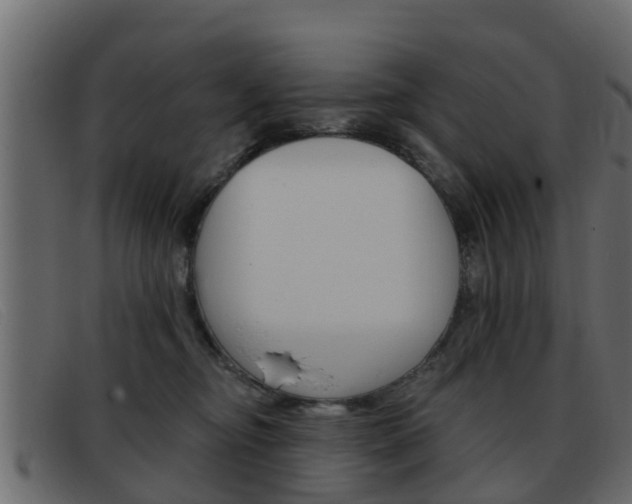 X0000093360374200710111313