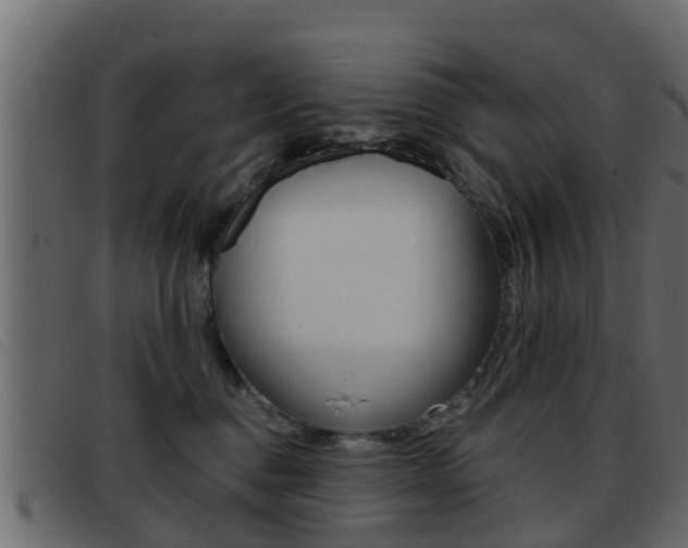 X0000093360376200710111313