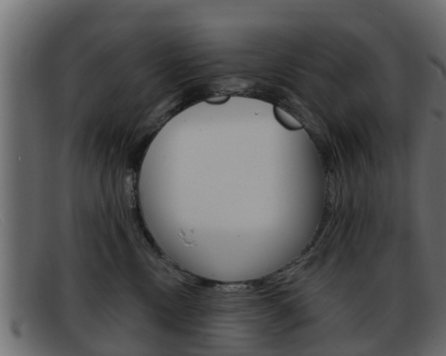 X0000093360378200710111313