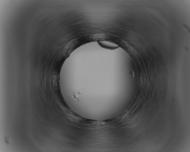 X0000093360379200710111313