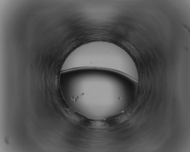 X0000093360380200710111313