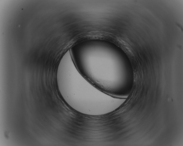 X0000093360382200710111313