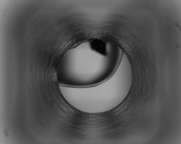 X0000093360384200710111313